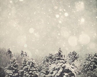 SALE 30% OFF Winter Art: Snow Globe 8x8 Fine Art Photography, Snow Bokeh Tree Wall Art white Nature Wall Art