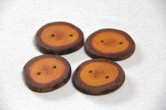sunshine - 4 medium black birch buttons