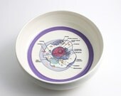 Cell Biology Bowl - White with Purple Stripe