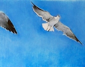 Laughing Gulls, Framed Original By Margi Hopkins of Pepper Portraits LLC