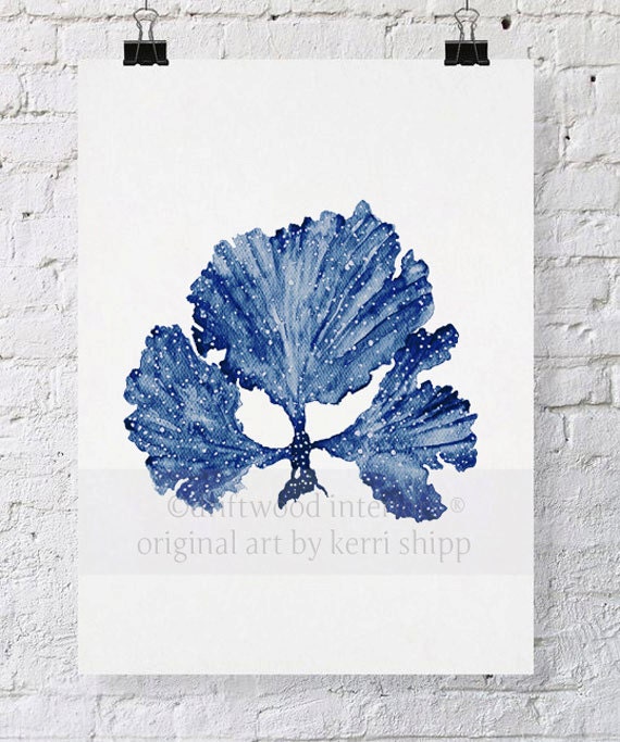 Seaweed II in Denim Blue Watercolor Print 11x14 - Sea Coral Art Print - Sea Fan Art Print - Coral art by Kerri Shipp