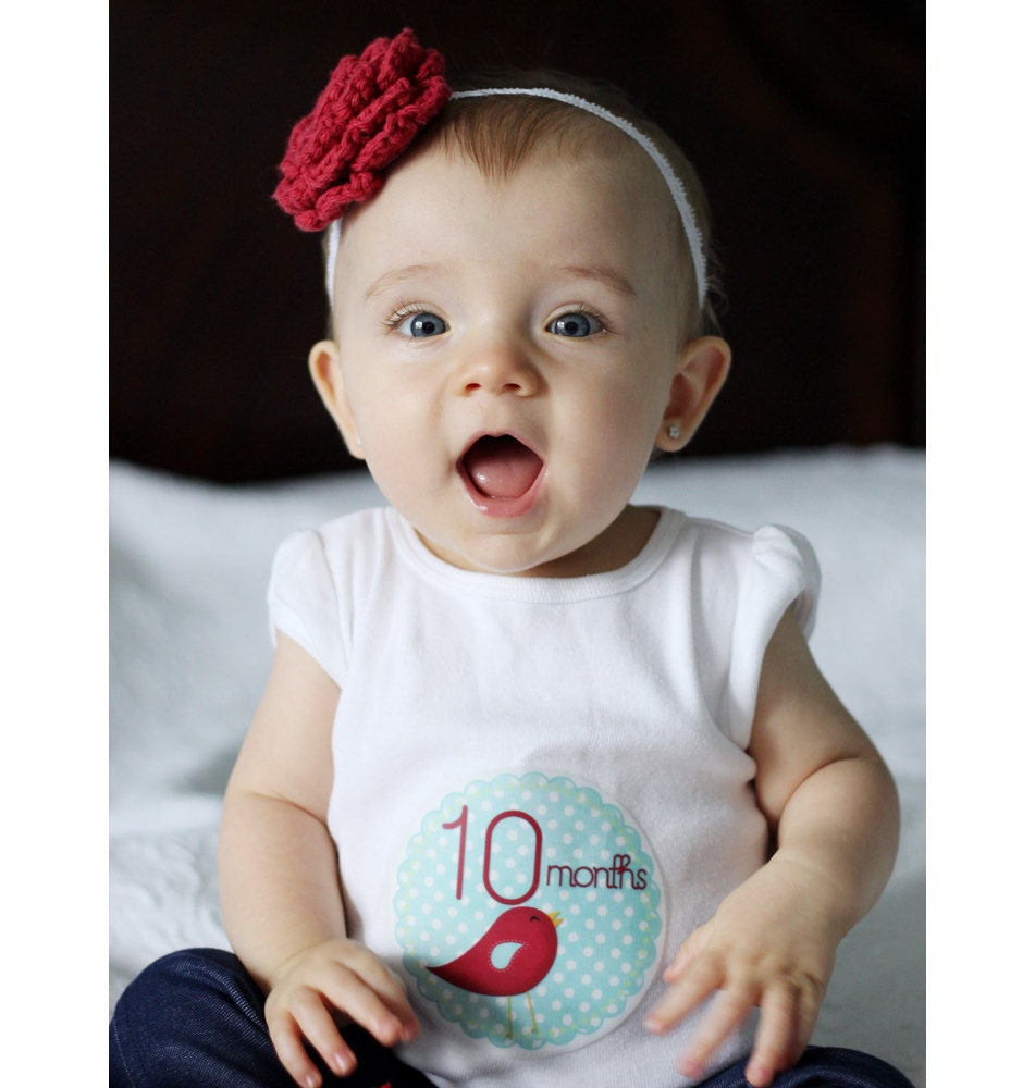 Monthly Onesie Stickers Baby Month Stickers - Katherine - Bird, Ladybug, and Butterfly - Great Baby Shower Gift and Photo Prop