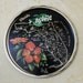 vintage mid-century state souvenir plate / tray / florida / 1950s
