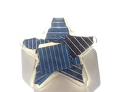 Solar Panel Star Magnet - Earthday Sale