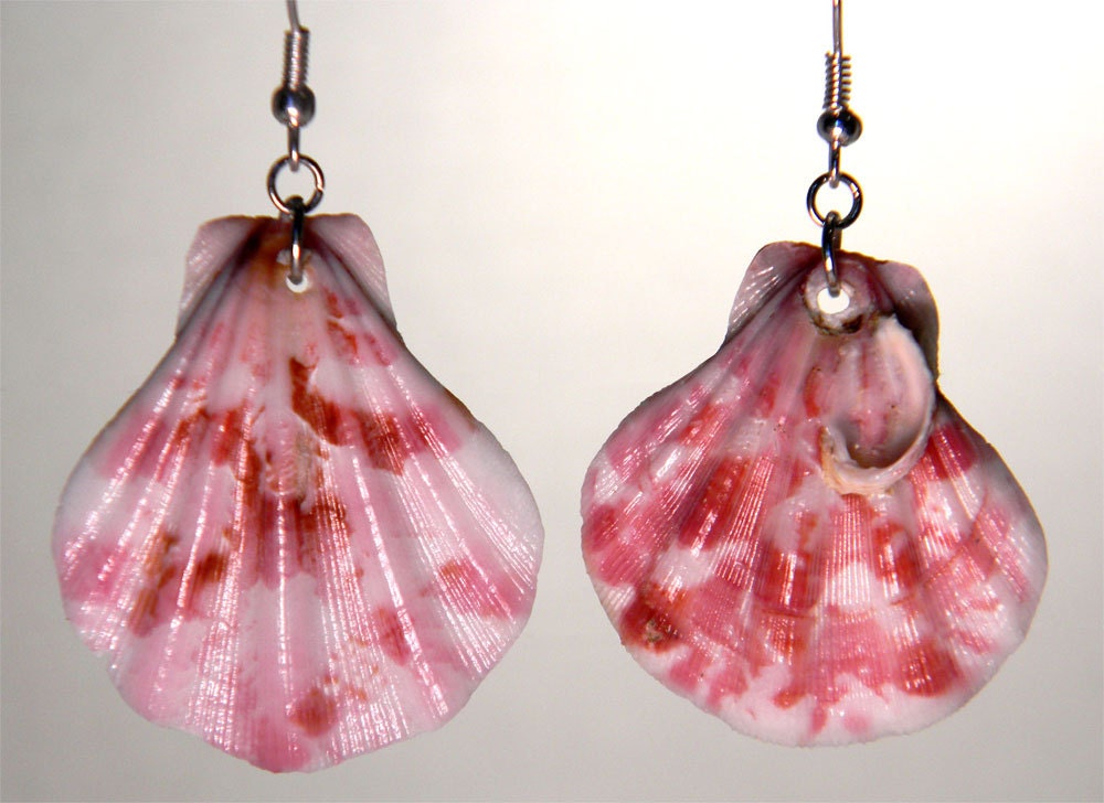 Natural Pink Seashell Dangle Earrings