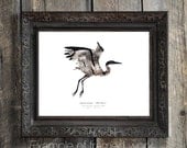 Blue Heron Photography : Animal Silhouette Bird Print, Woodland Nursery, Eco Home Decor, 8x10 Wild Pulp Wall Art