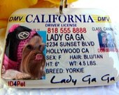 California Driver License Pet Photo ID Tag by ID4Pet  - Double sided with your pet info and photo
