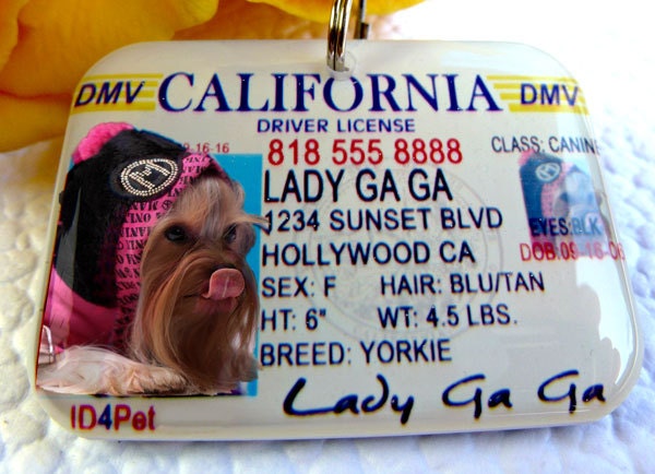 California Driver License Pet Photo ID Tag by ID4Pet  - Double sided with your pet info and photo