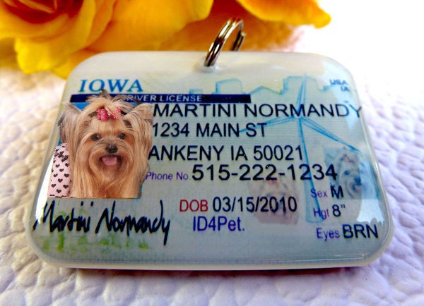Tennessee Driver License Dog driver license Cat Driver License Double Side by ID4Pet