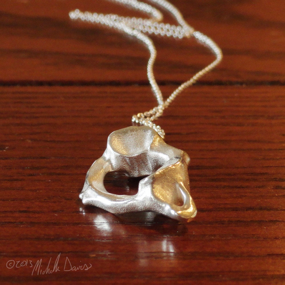 Atlas (C1) Vertebra in Silver - Anatomical Jewelry