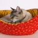 Custom Cat Canoe a Modern Kitty Bed in Your Fabric