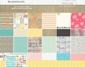 Composition and Color 12x12 Collection Kit Webster's Pages
