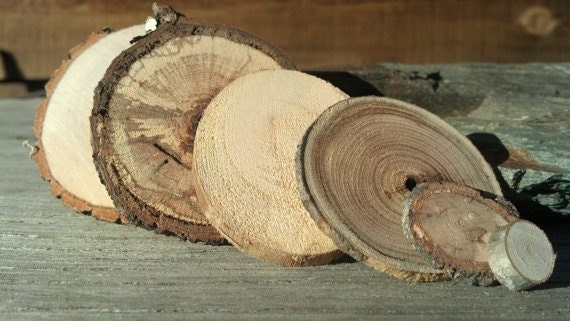 6 CUSTOM ORDER Reclaimed Branch Slices