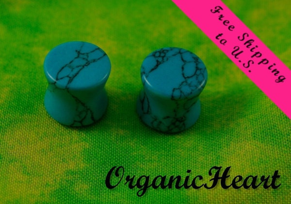 Turquoise Organic Ear Plugs 7/8" (22mm) Handmade Hand Carved Stone Body Jewelry Piercing Earrings 7/8 Inch