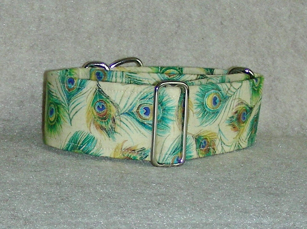 2 Inch Martingale, Teal Peacock Feathers, Greyhound Collar