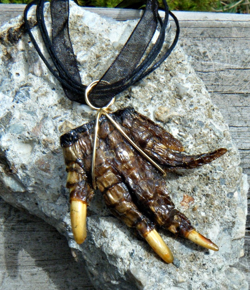 Creepy Crawly Real Alligator Foot Necklace. Voo Doo Gator Jewelry