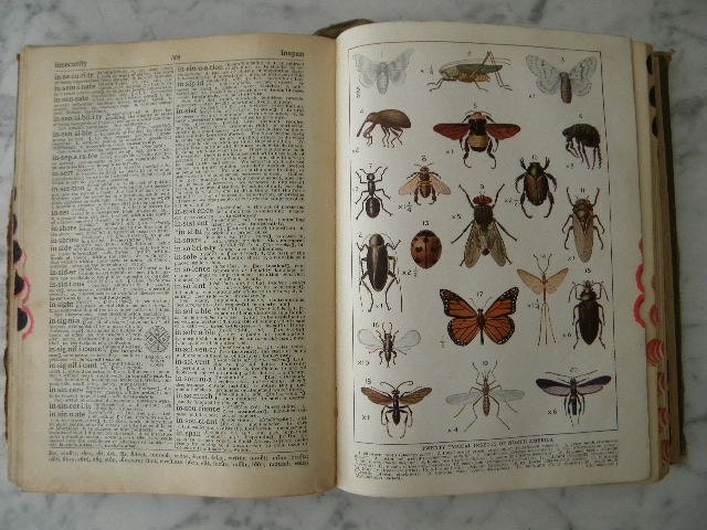The Winston Simplified Dictionary. 1928. color plates.