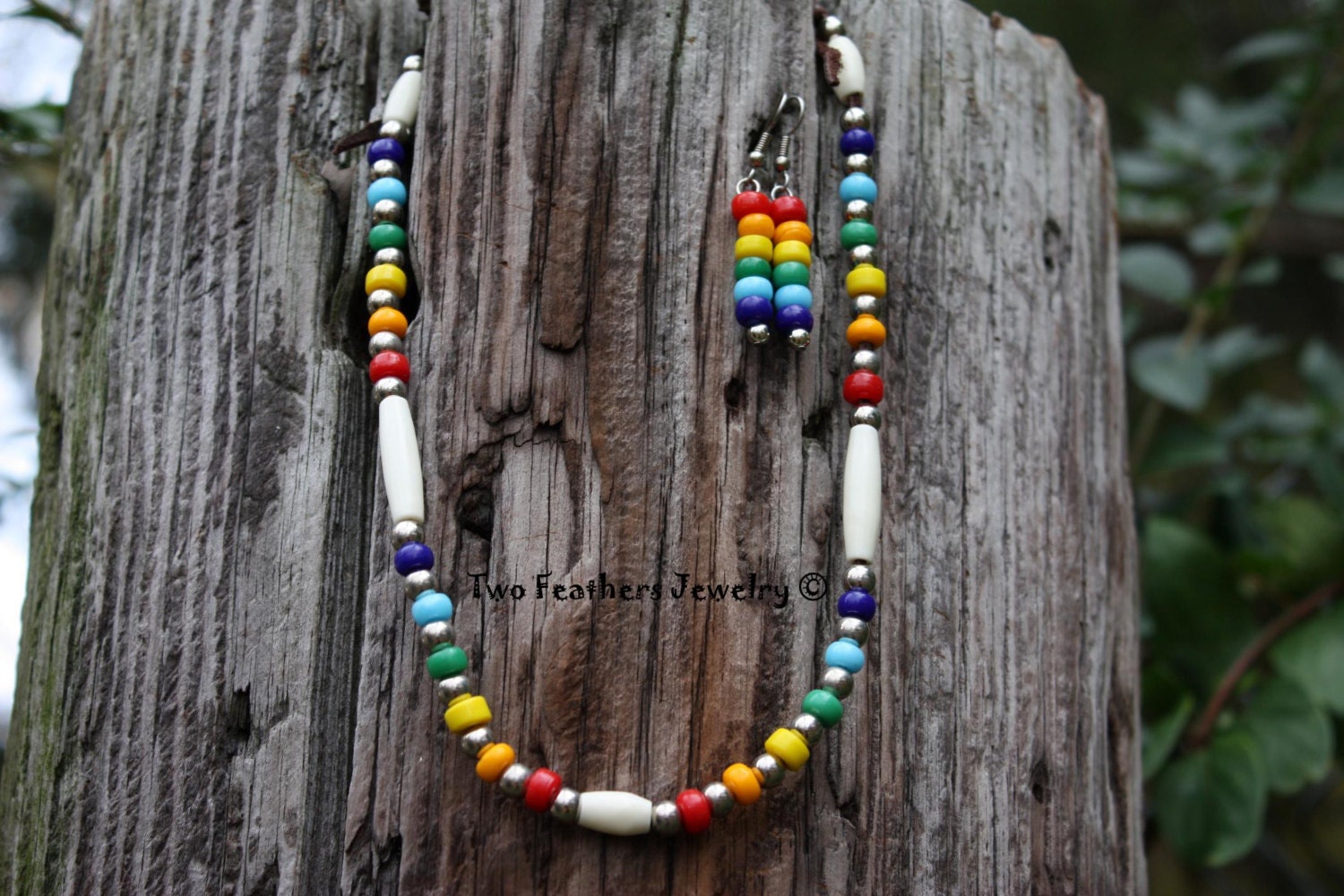 Bone Choker - Rainbow Choker - Rainbow Earrings - Native American Inspired - Regalia - Gift For Her - Tribal - Boho - Hippie