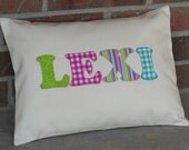 Decorative Pillows Personalized Name & Color of Your Choice 12" x 16"