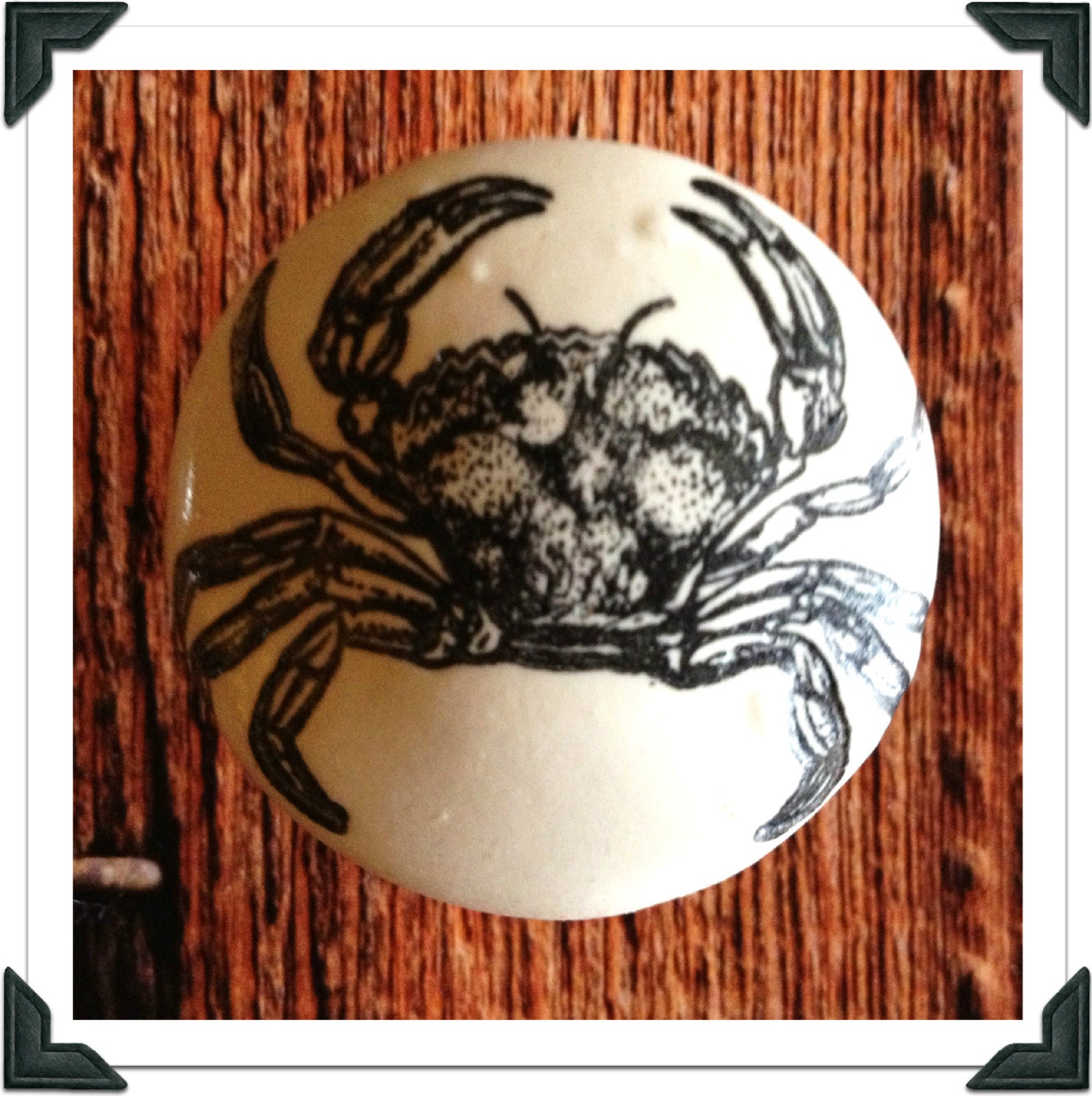 Large Crab Knob