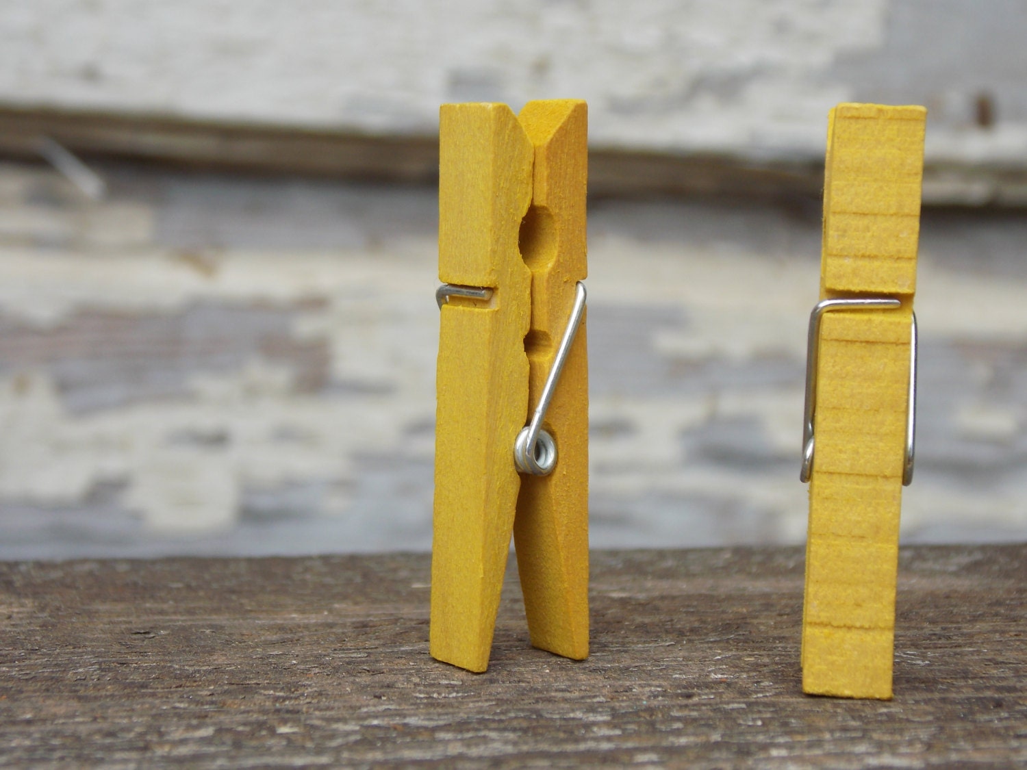 Mellow Yellow Clothespins In A Tin Wedding Place Card Holder Stained Clothespin Seating Chart Clothespin Colored Clothespin Card Holder Clip - DownInTheBoondocks