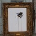 Watercolor Bee - 11x14 poster