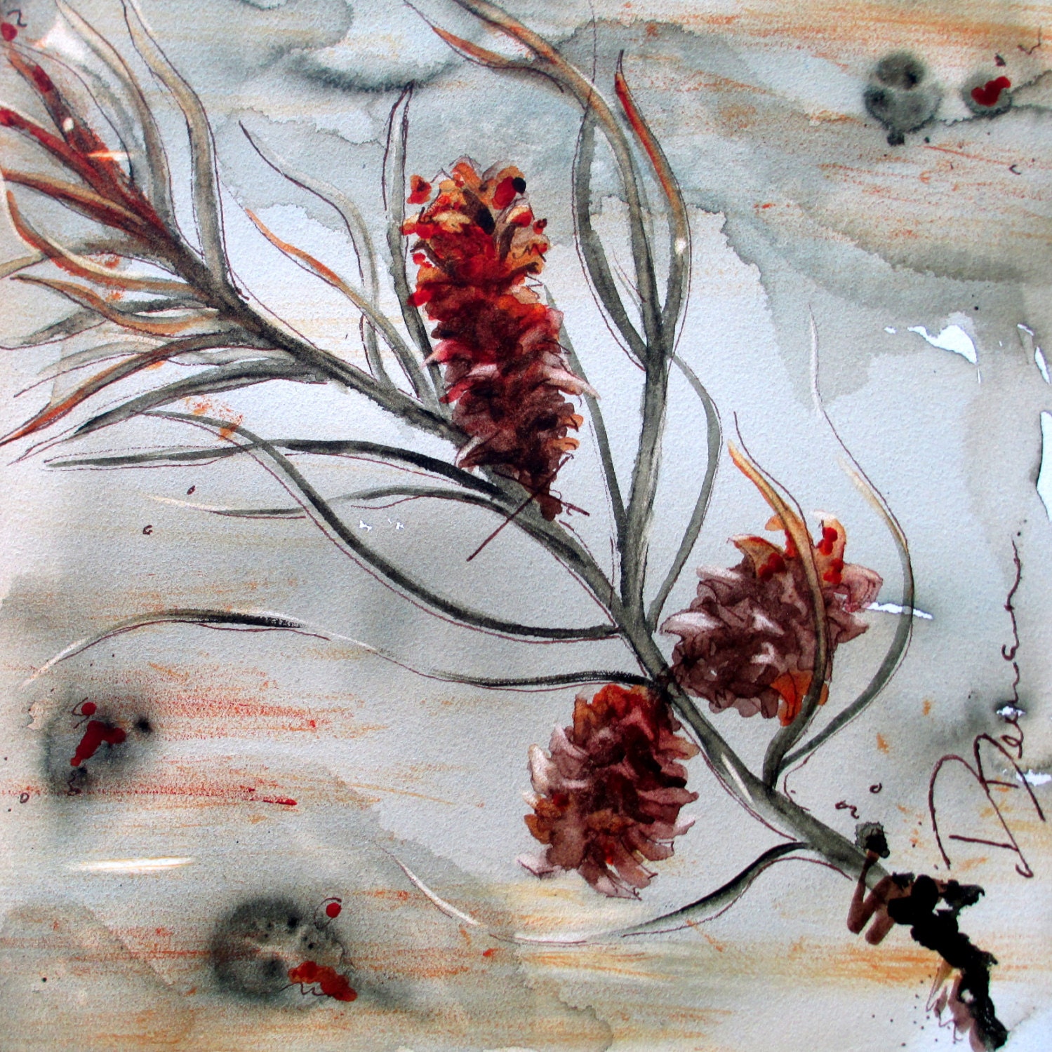 Botanical Art Print of Pinecones