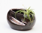 Black Wabi Sabi Bowl/Vase/ Air Plant Home