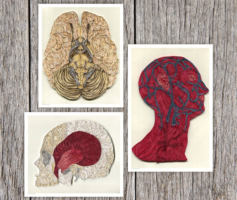 3 Anatomic Quilling Posters depicting the systems of the human head, Doctor Decor Print, Color anatomic illustration, Paper art print
