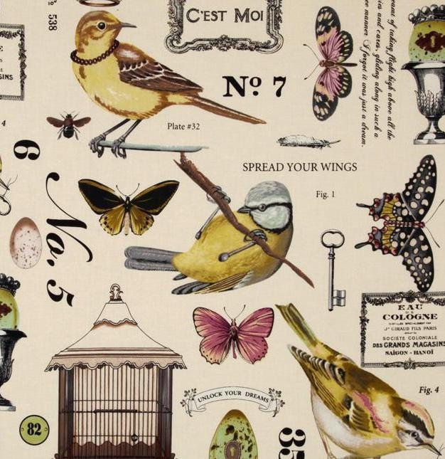 Valances (2) Two 40W x 16L  Vintage Look BIRD Study  on Off White  Print Window Valances