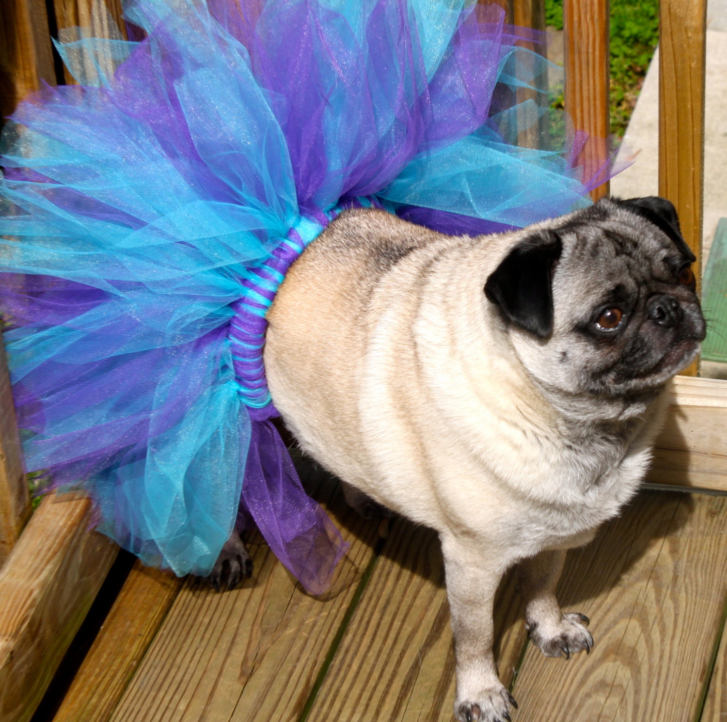Fluffy Fufu- Dog Tutu- Sizes Medium- Turquoise and Purple- Ready To Ship