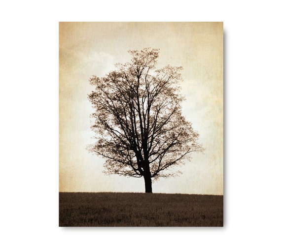 Large Landscape Photo, single tree, photo, country, landscape, brown, branches, sepia, lonely, antique style, vintage style, home decor