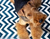 Dog Bed Chevron/Zig Zag Pet Duvet Cover-Medium