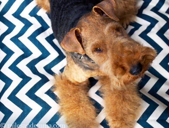 Dog Bed Chevron/Zig Zag Pet Duvet Cover-Medium