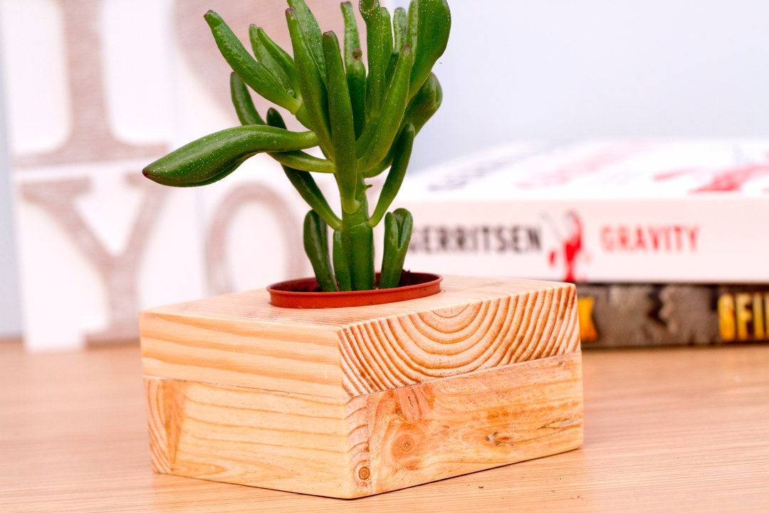 Succulent planter, natural wooden plant pot eco friendly reclaimed geometric shape