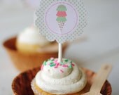 Shabby Chic Ice Cream Themed Birthday Party Cupcake Toppers Il_170x135