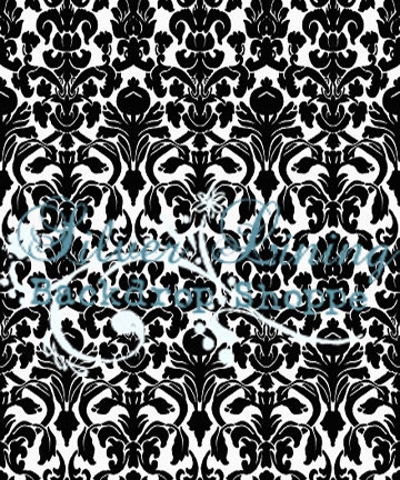 NEW PRICE 54"x5' Photography Backdrop Faux Floors Walls Vinyl / Black & White Damask