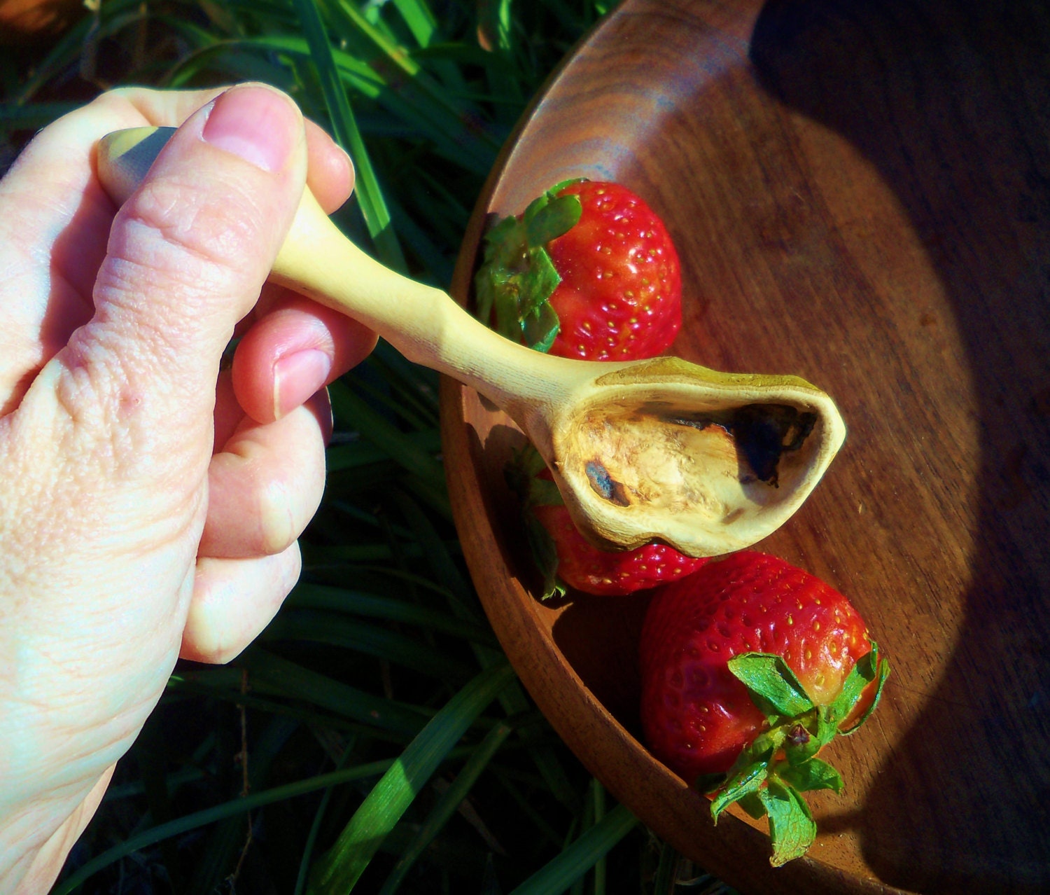 Wood Spoon Baby  Organic Waldorf  Infant Feeding  Hobbit  Kitchen Sycamore Wooden
