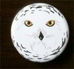 Snowy Owl face 1-1/2" button pin Nature Bird Wildlife - Brandy Woods