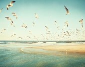 Beach Photography - seagulls birds flying ocean mint teal print blue green coastal wall art turquoise photo vintage beige - 5x7 Photograph