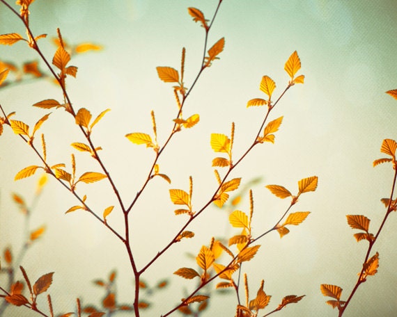 Tree Branch Photography - branches green orange nature neutral print gold brown olive beige botanical, 8x10 Photograph, "Whispering Beauty"