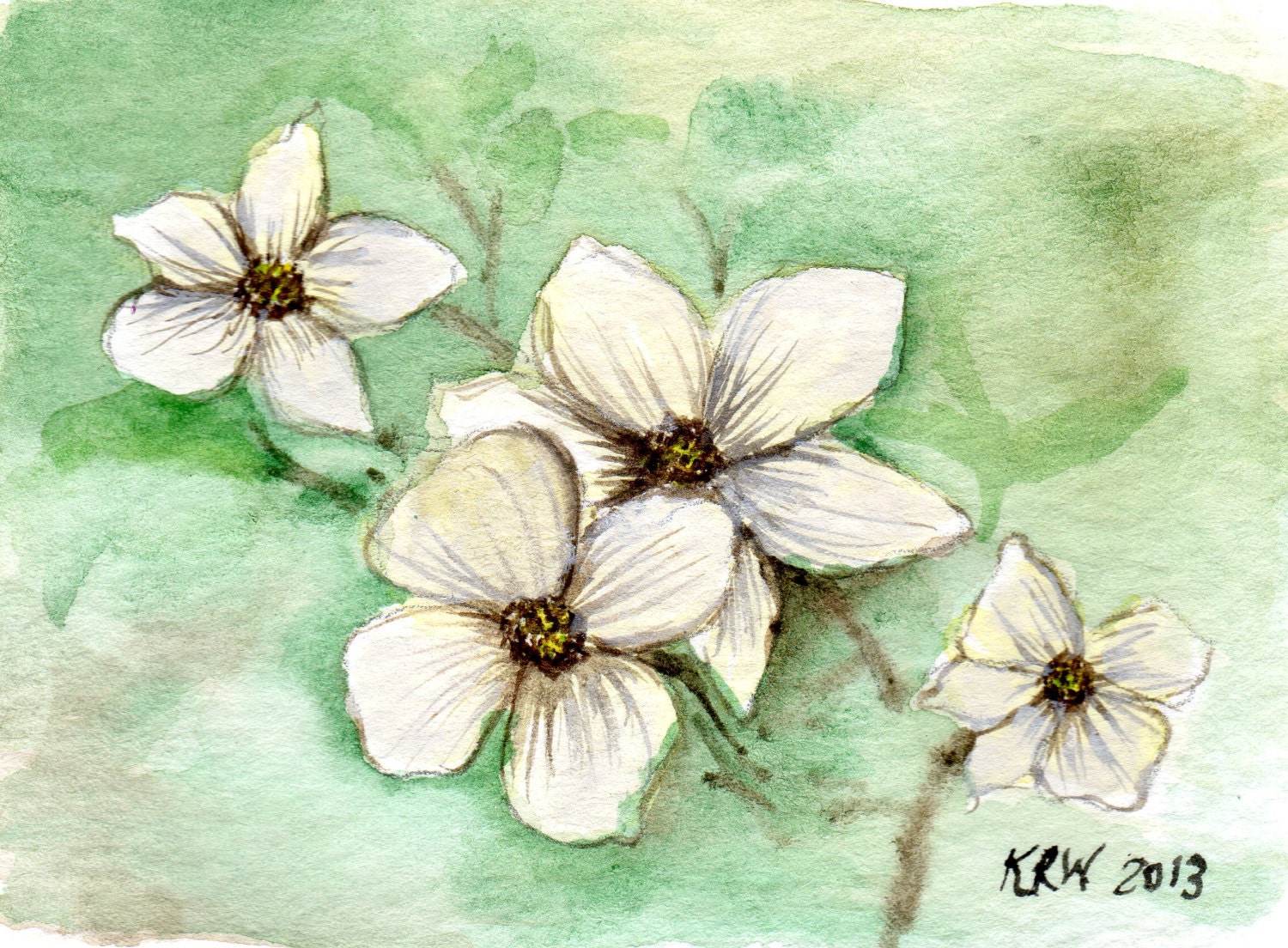 ACEO - Matted Original Watercolor Collectible - Pacific Dogwood