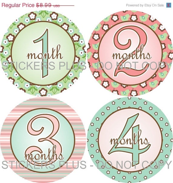 SALE Baby Girl Monthly Onesie Stickers Plus Bonus Just Born - Pink Green Brown Flowers Birds - 1-12 Months - Shower Gift