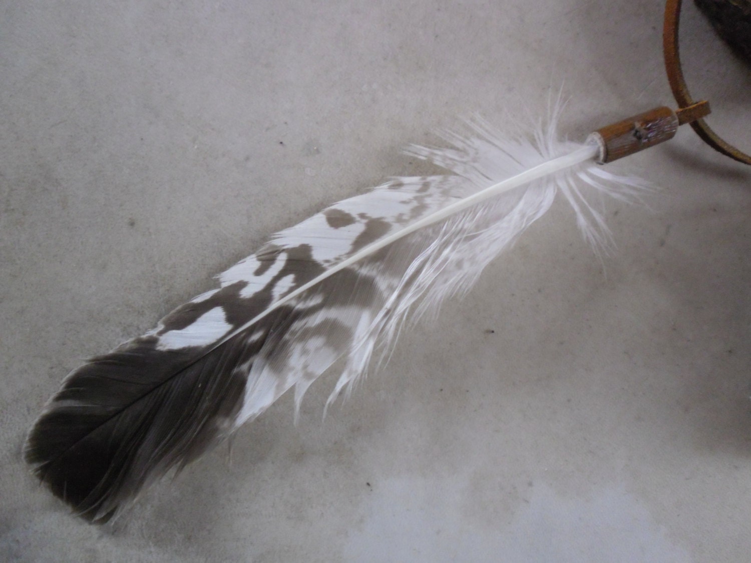 Eagle spirit pendant - shaman druid witch Eagle Totem sacred pagan