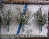 Lucky White Heather Brooch buttonhole boutonnieres  - Wild harvested in Scottish Highlands Faery Charm weddings