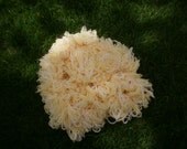 Boa Basket Filler