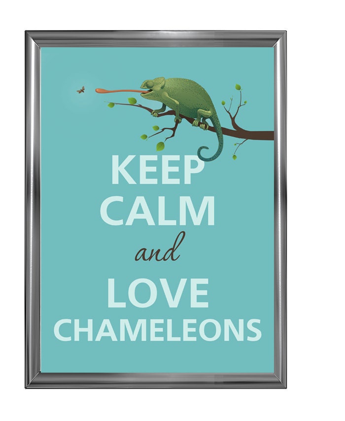 Keep calm and love chameleons