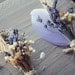 dried wildflowers and feathers boutonnieres - set of 4 - lavender buttonhole, wheat boutonniere - LUKE