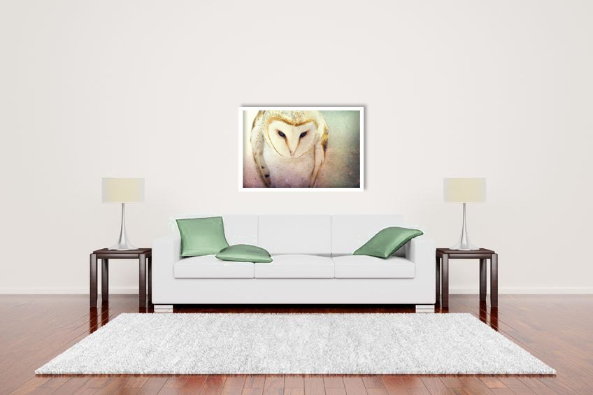 Barn Owl Photo - 20x30 Photograph - Owl Art Print - Owl Photograph - dreamy fairy tale forest woodland 'A Little Bit Lost'