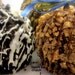 Any Two Candy Apples - Chocolate and Caramel With Your Choice of Toppings